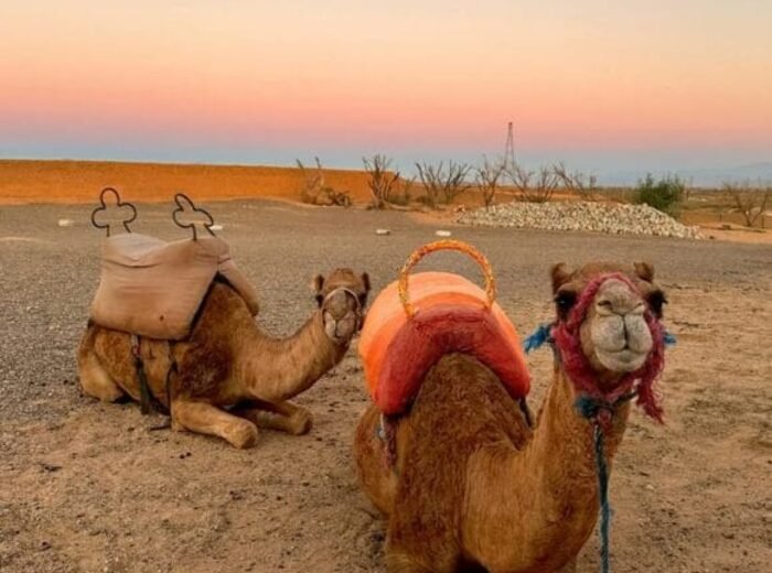 Agafay Desert