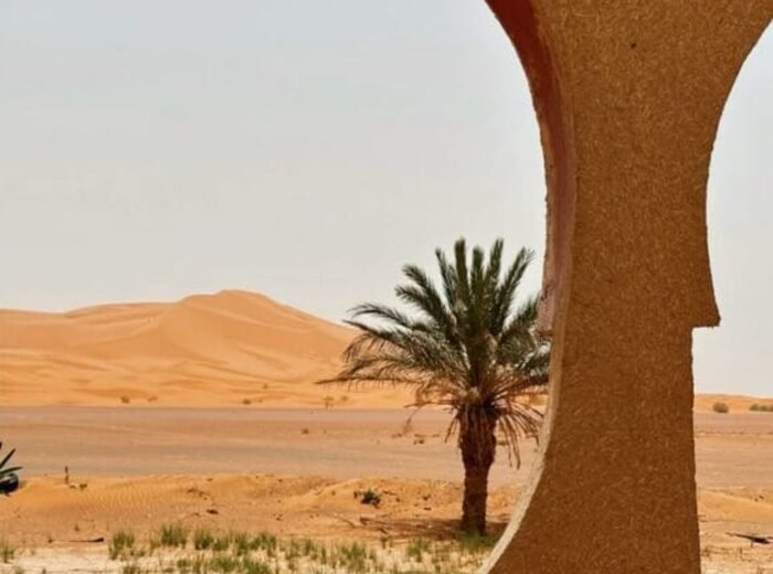 Sahara Tours