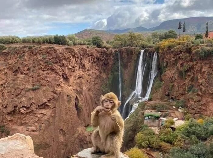 Day Trips