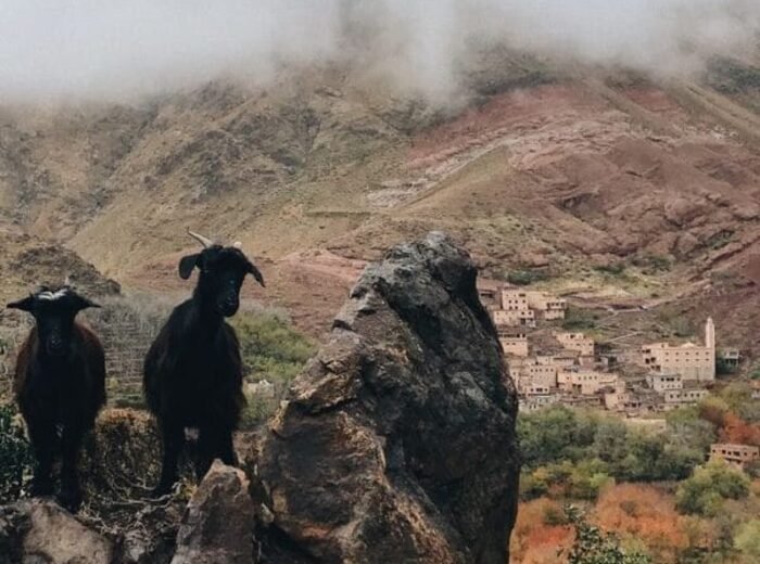 Mountains Trekking
