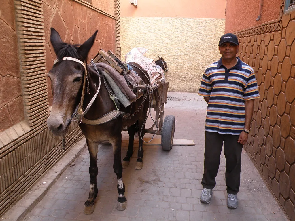 Cortile di un riad tradizionale a Marrakech che mostra una squisita architettura marocchina Cortile di un riad tradizionale a Marrakech che mostra una squisita architettura marocchina