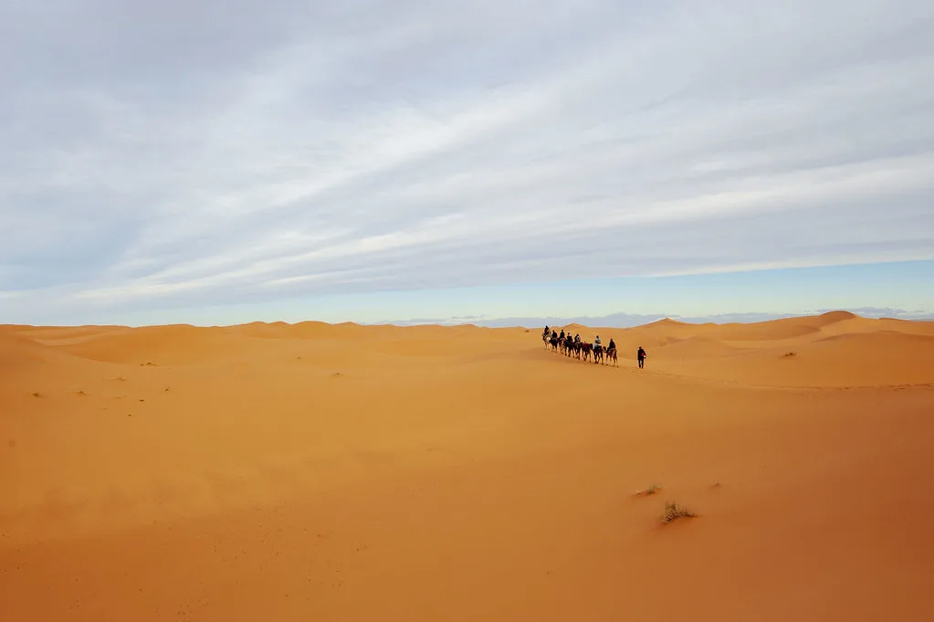 Paseo en camello por las doradas dunas de Erg Chebbi en el mejor tour por el desierto de fez a Marrakech Paseo en camello por las doradas dunas de Erg Chebbi en el mejor tour por el desierto de fez a Marrakech